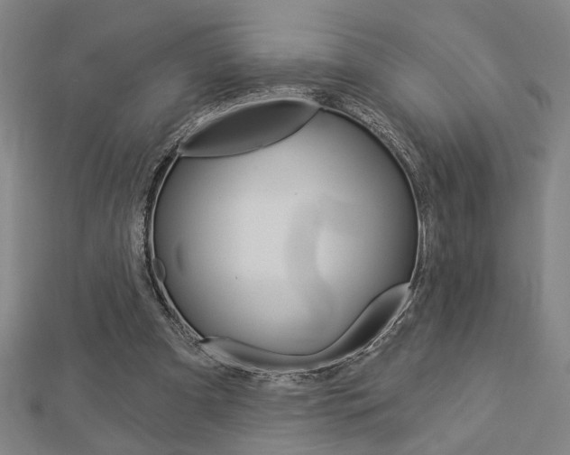 X0000112980297200908270924