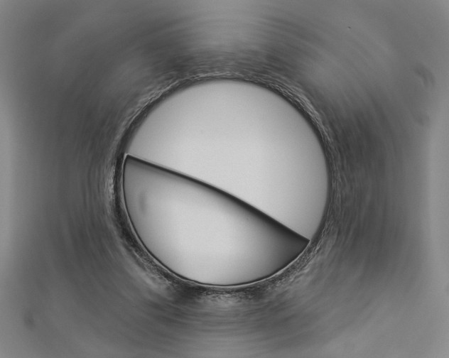 X0000112980299200908270924
