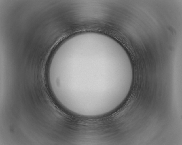 X0000112980300200908270924