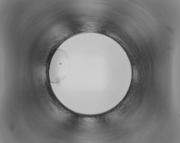 X0000112980302200908270924