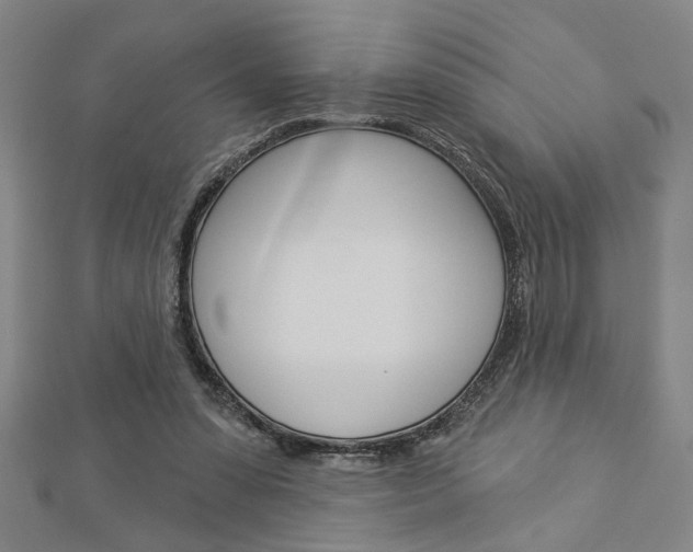 X0000112980303200908270924