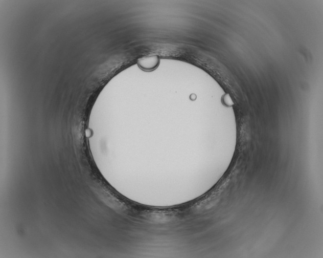 X0000112980305200908270924