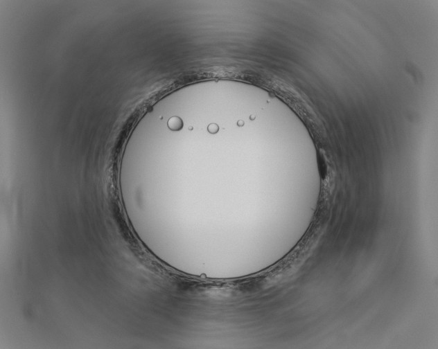 X0000112980306200908270924