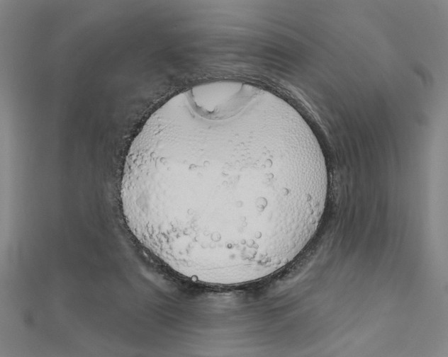 X0000112980307200908270924