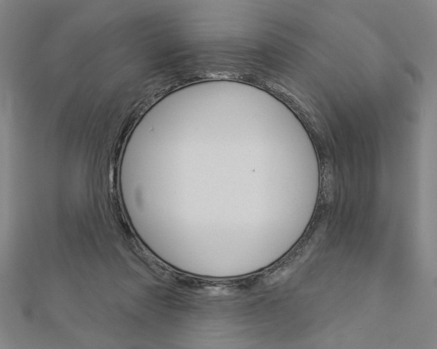 X0000112980310200908270924