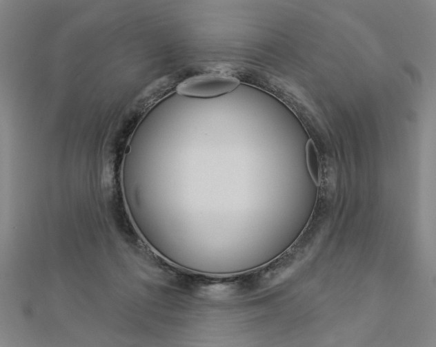 X0000112980312200908270924