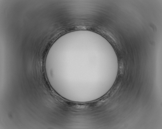 X0000112980314200908270924