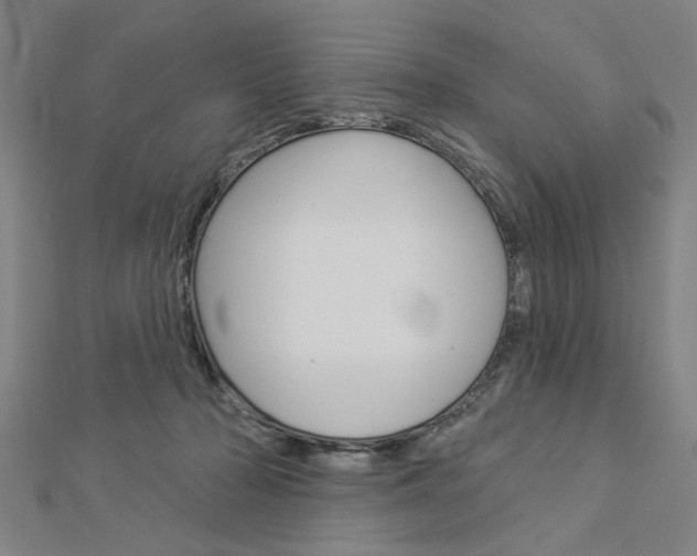 X0000112980318200908270924