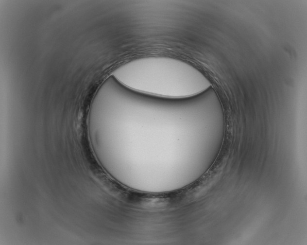 X0000112980319200908270924