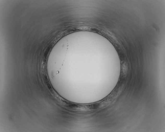 X0000112980322200908270924