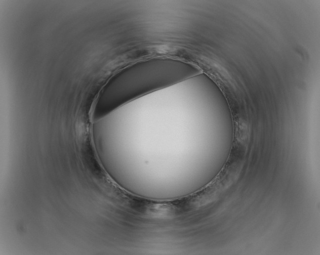 X0000112980324200908270924