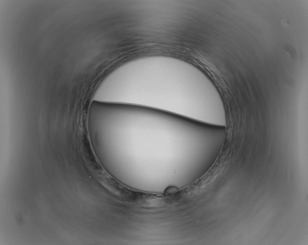X0000112980325200908270924