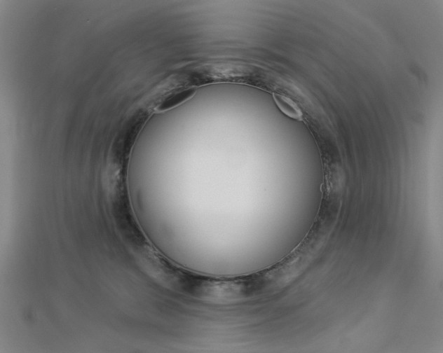 X0000112980327200908270924