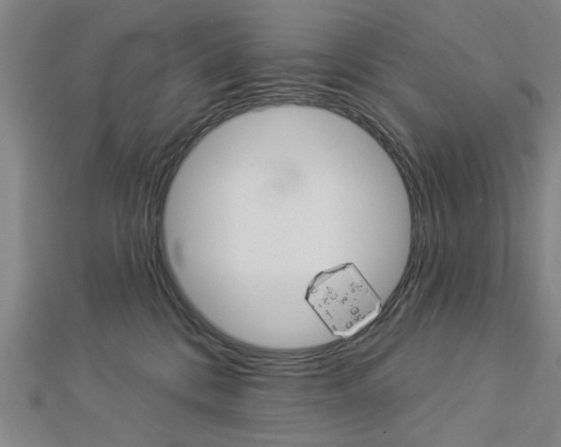 X0000112980328200908270924