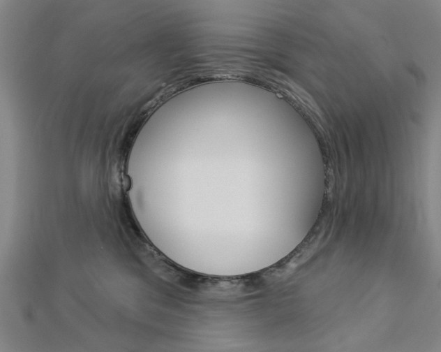 X0000112980329200908270924