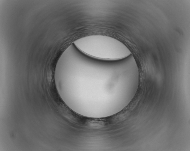 X0000112980331200908270923