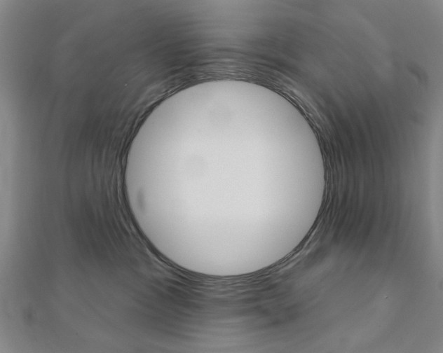 X0000112980333200908270923