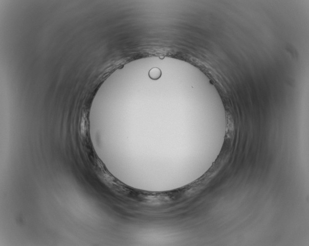 X0000112980334200908270923