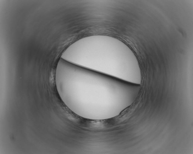 X0000112980335200908270923