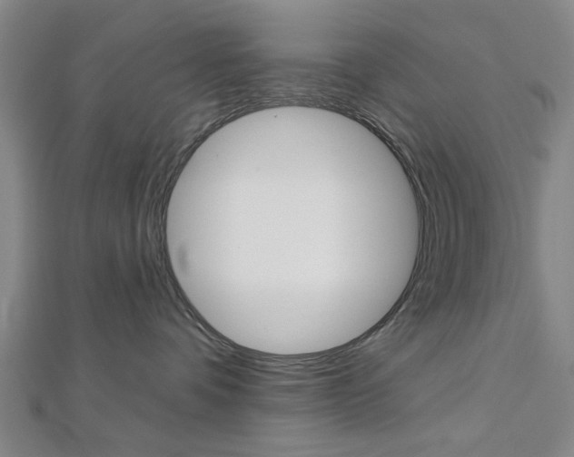 X0000112980336200908270923