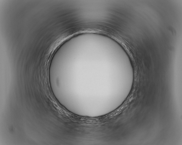 X0000112980337200908270923