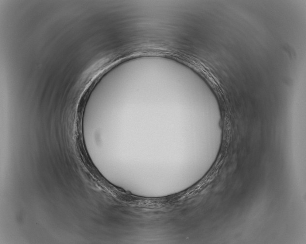 X0000112980338200908270923