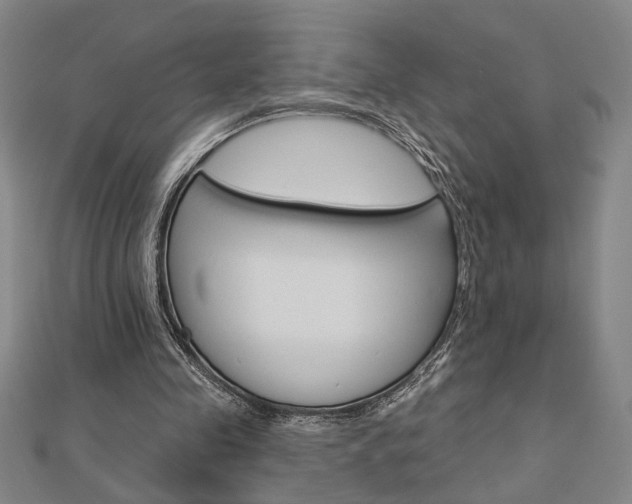X0000112980341200908270923