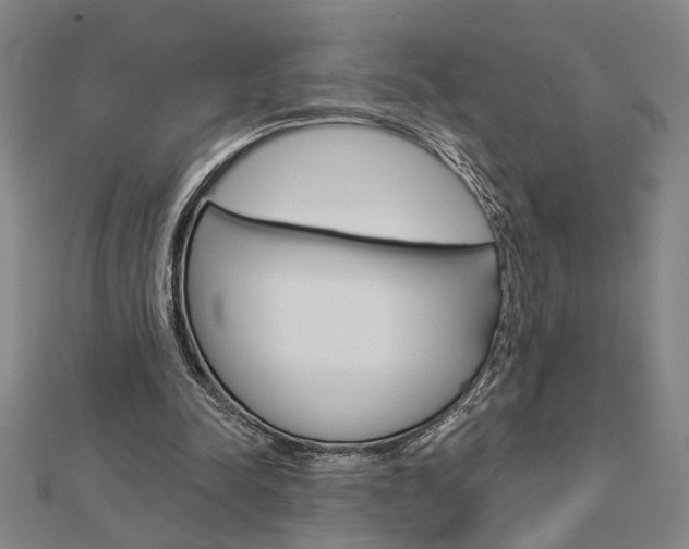 X0000112980342200908270923