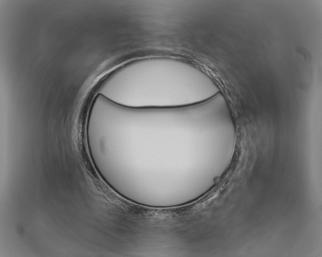 X0000112980343200908270923