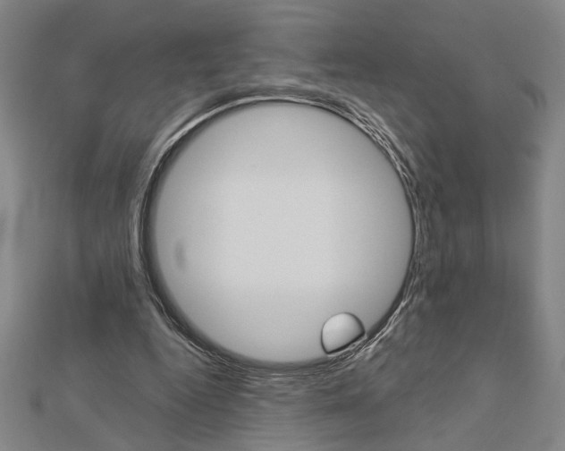 X0000112980344200908270923