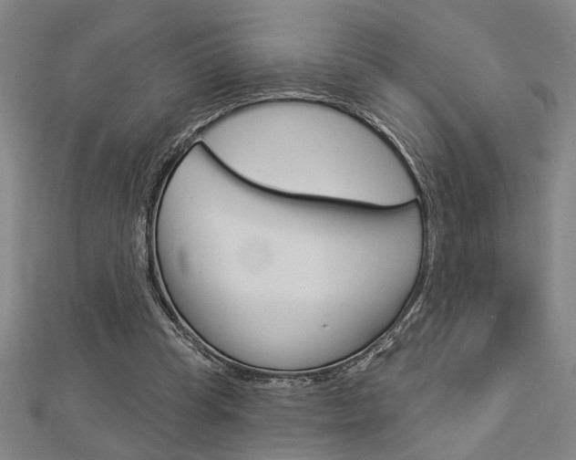 X0000112980345200908270923