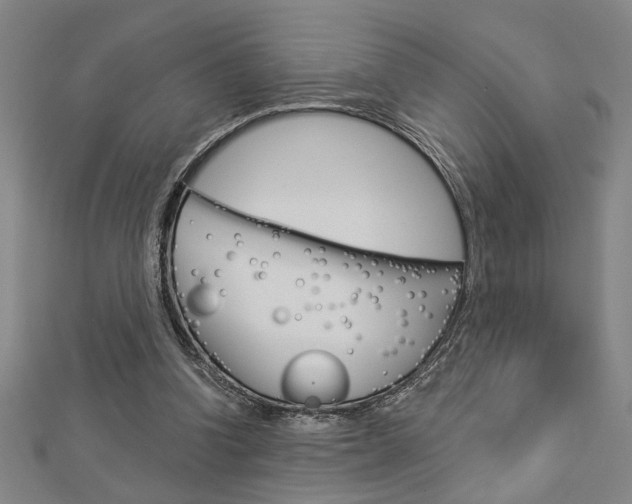 X0000112980346200908270923
