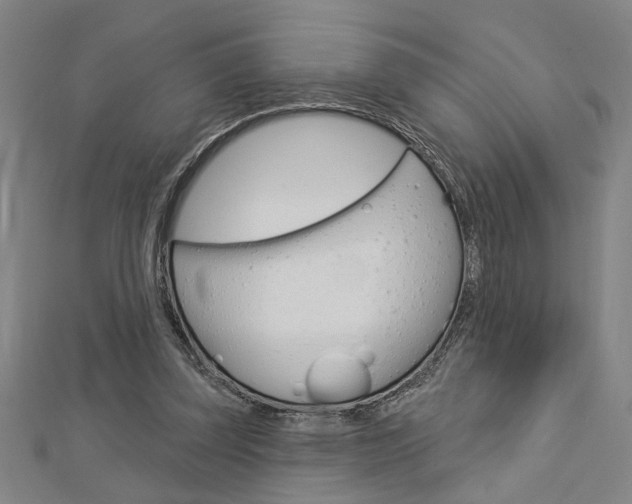 X0000112980347200908270923