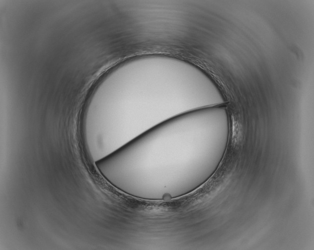 X0000112980348200908270923