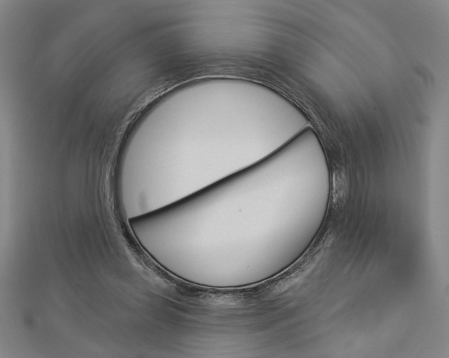 X0000112980349200908270923