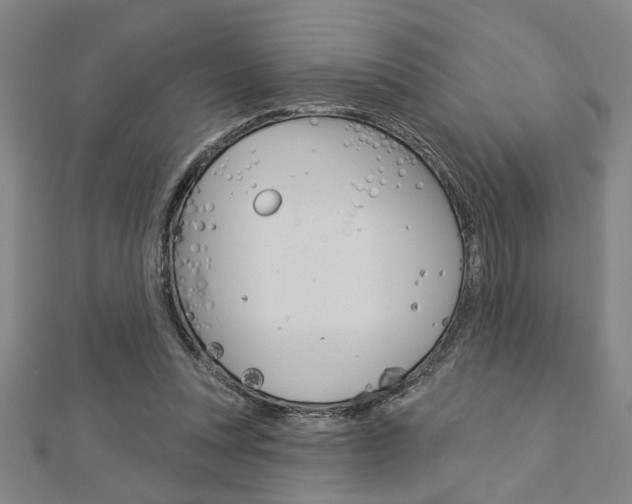 X0000112980351200908270923