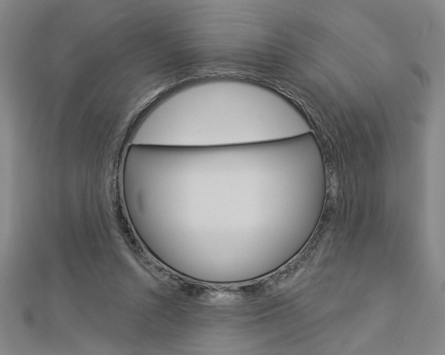 X0000112980352200908270923