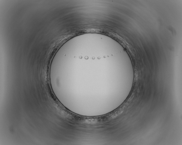 X0000112980353200908270923