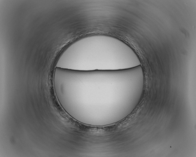 X0000112980354200908270923
