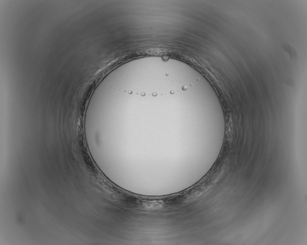 X0000112980355200908270923