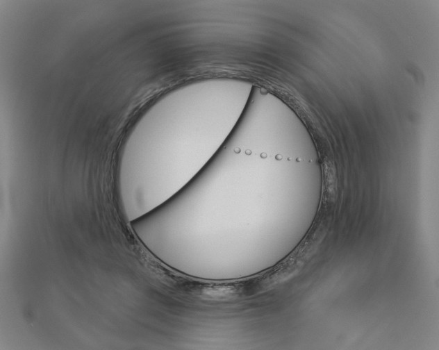 X0000112980357200908270923