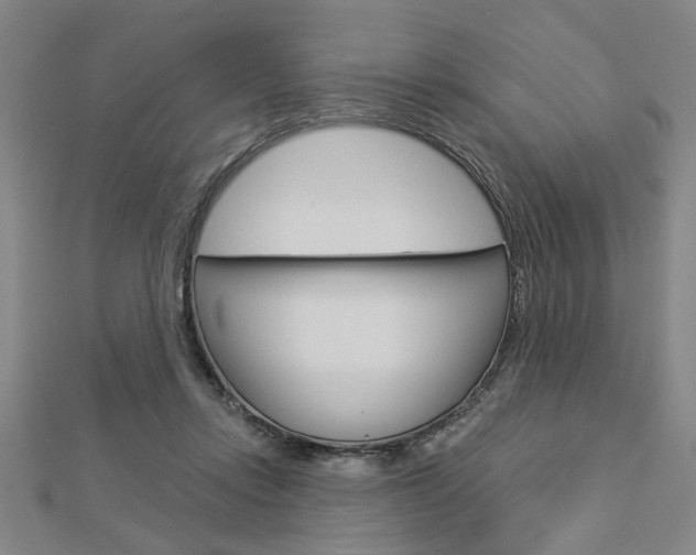 X0000112980358200908270923
