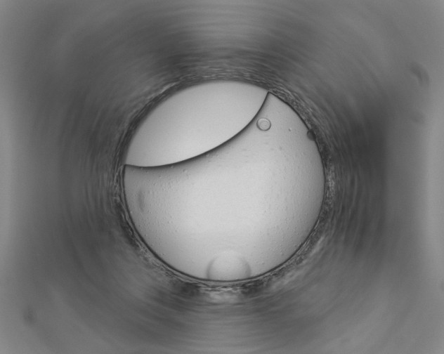 X0000112980359200908270923