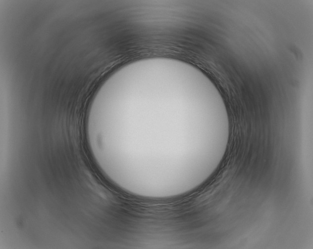 X0000112980360200908270923