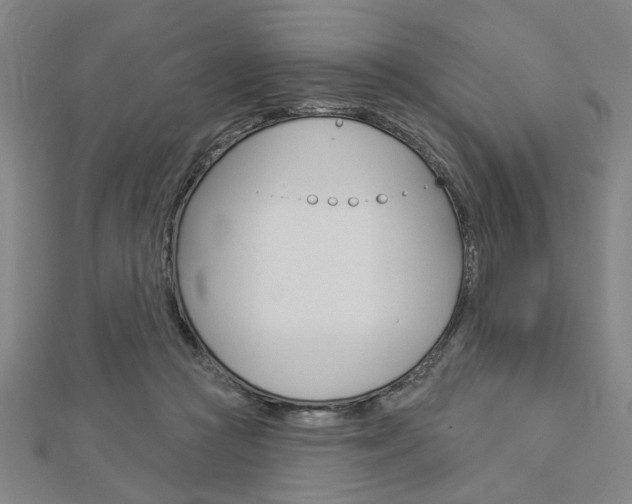 X0000112980361200908270923