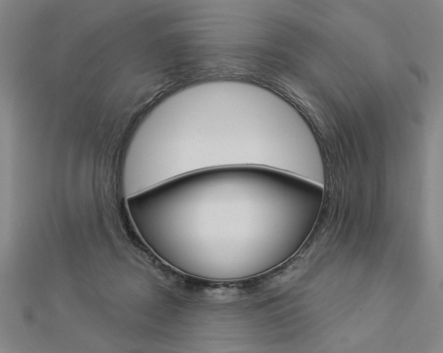 X0000112980362200908270923