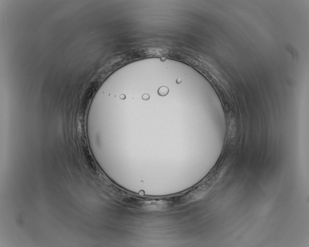 X0000112980363200908270923