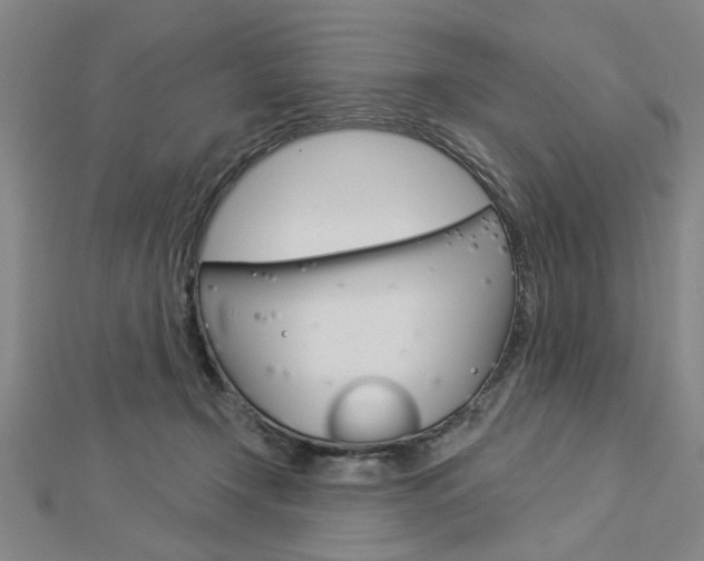 X0000112980366200908270923