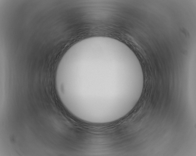 X0000112980368200908270923