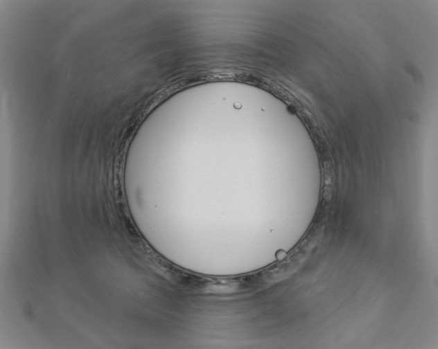 X0000112980369200908270923